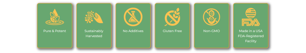 Why Choose Gymnia?